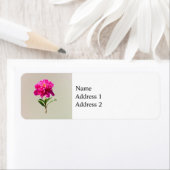 Vivid Pink Peony (Insitu)