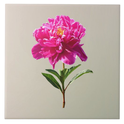 Vivid Pink Peony Fliese (Vorderseite)
