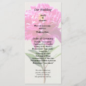 Vivid Pink Peony Programm (Vorderseite)