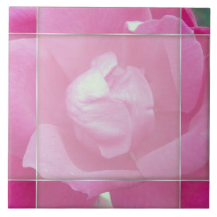 Vivid Pink Rose 2 Foto Keramik Tiles Fliese