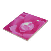Vivid Pink Rose Foto Keramik Tiles Fliese (Seite)