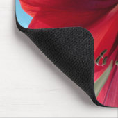Vivid red Amaryllis Blume Mousepad (Ecke)