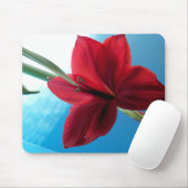 Vivid red Amaryllis Blume Mousepad (Mit Mouse)
