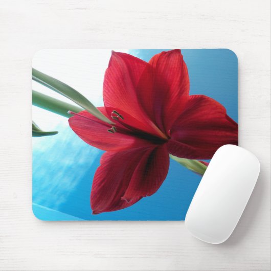 Vivid red Amaryllis Blume Mousepad (Mit Mouse)