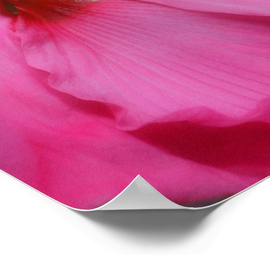 Vivid Rosa Hibiskus Blume partielle Farbe Poster (Ecke)