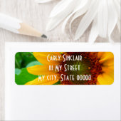 VIVID SUNFLOWER II (Insitu)