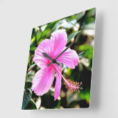 Vivid Tropical Pink Hibiscus Quadratische Wanduhr (Winkel)