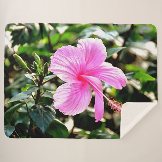 Vivid Tropical Pink Hibiscus Sherpadecke (Vorderseite (Horizontal))