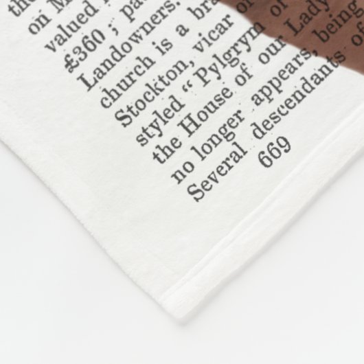 Vivienne Steampunk Fox Fleecedecke (Ecke)