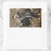 Viviens Beguiling of Merlin (Edward Burne-Jones) Rechteckiger Aufkleber (Tasche)