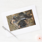 Viviens Beguiling of Merlin (Edward Burne-Jones) Rechteckiger Aufkleber (Umschlag)