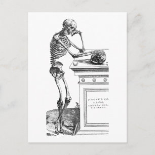 Vivitur Ingenio - Skeleton Postkarte