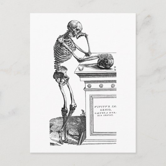 Vivitur Ingenio - Skeleton Postkarte (Vorderseite)