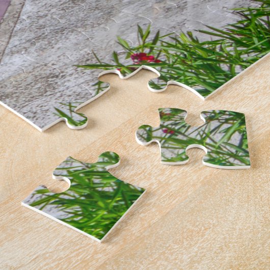 Vizcaya Florida Puzzle (Seite)