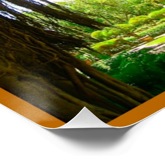 Vizcaya Museum und Botanischer Garten Miami Florid Poster (Ecke)