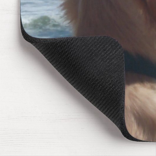 Vizekönig am Strand Mousepad (Ecke)