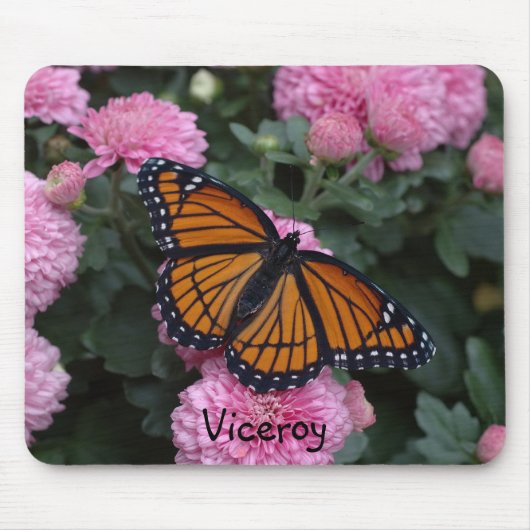 Vizekönig Mousepad (Vorne)