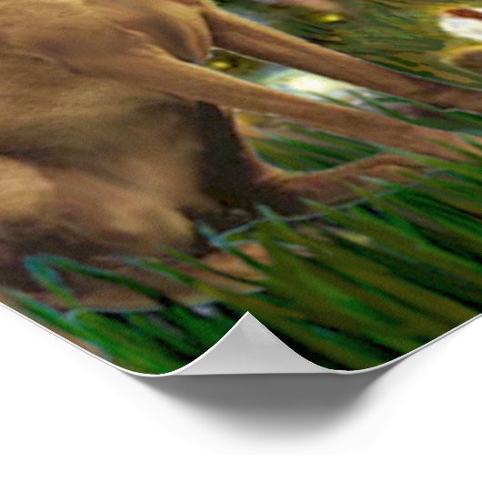 Vizsla 1 - MidEve Poster (Ecke)