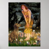 Vizsla 1 - MidEve Poster (Vorne)