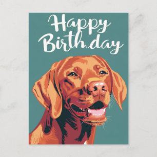 Vizsla Alles Gute zum Geburtstag  Postkarte