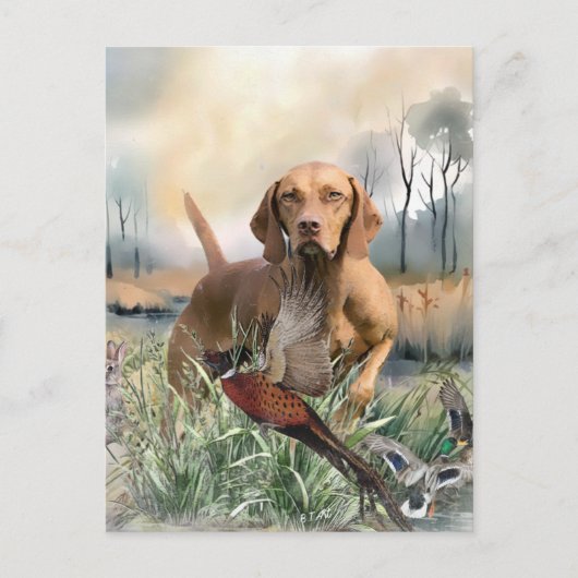 Vizsla, Art Postkarte (Vorderseite)