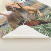 Vizsla, Art Sherpadecke (3/4)