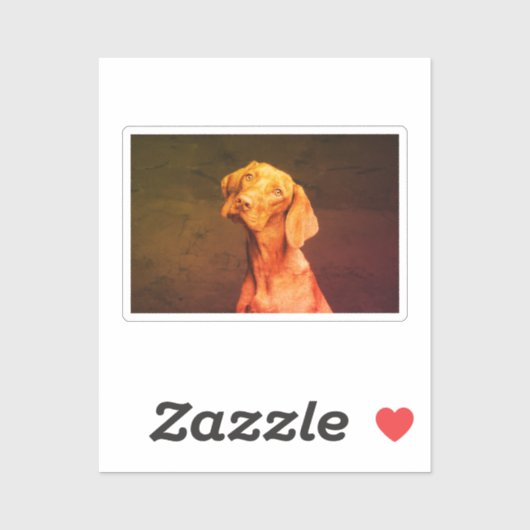 Vizsla Aufkleber (Blatt)