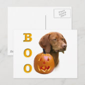 Vizsla Boo Postkarte (Vorne/Hinten)