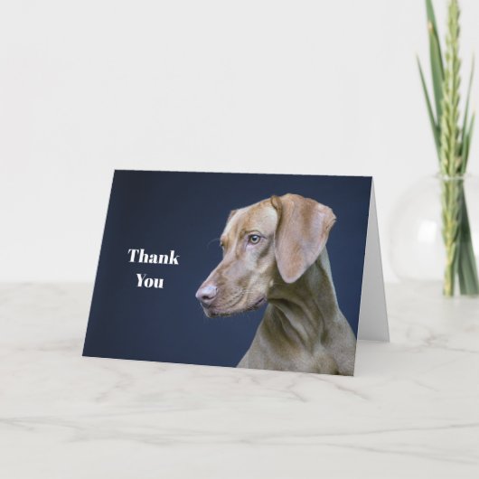 Vizsla Brown Dog Foto Dankeskarte (Vorderseite)