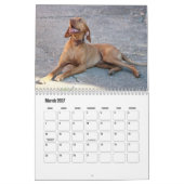 Vizsla Calendar Kalender (Mär 2027)
