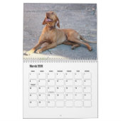 Vizsla Calendar Kalender (Mär 2026)