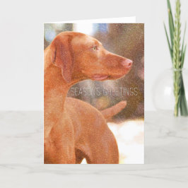 Vizsla Christmas Grußkarten Feiertagskarte