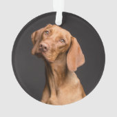 Vizsla Christmas Kariert Dog Name Ornament (Rückseite)