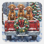 Vizsla Christmas Red Truck Holiday Quadratischer Aufkleber (Vorderseite)