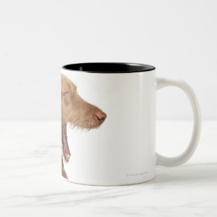 Vizsla, das vor Weißrückseitenboden gähnt Zweifarbige Tasse