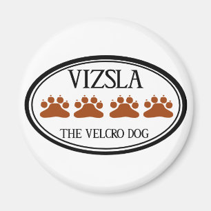 Vizsla der Flausch-Hundemagnet Magnet