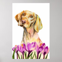 Vizsla Dog Aquarellmalerei, Bildende Kunst