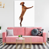 Vizsla Dog Leinwanddruck (Insitu (Wohnzimmer))