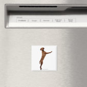 Vizsla Dog Magnet (In Situ (Geschirrspüler))