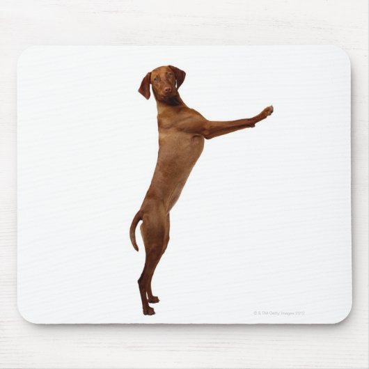 Vizsla Dog Mousepad (Vorne)