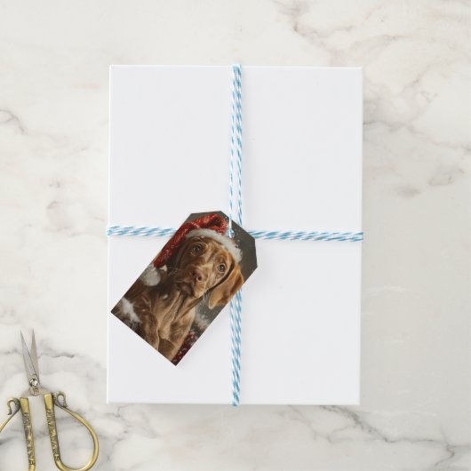 Vizsla Dog Weihnachtsfest Geschenkanhänger (Mit Garn)