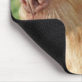 Vizsla erstellen Sie Ihr eigenes Foto für Haustier Mousepad (Ecke)