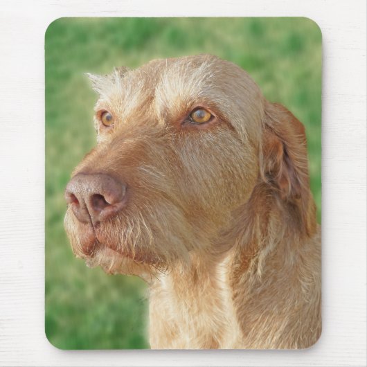 Vizsla erstellen Sie Ihr eigenes Foto für Haustier Mousepad (Vorne)