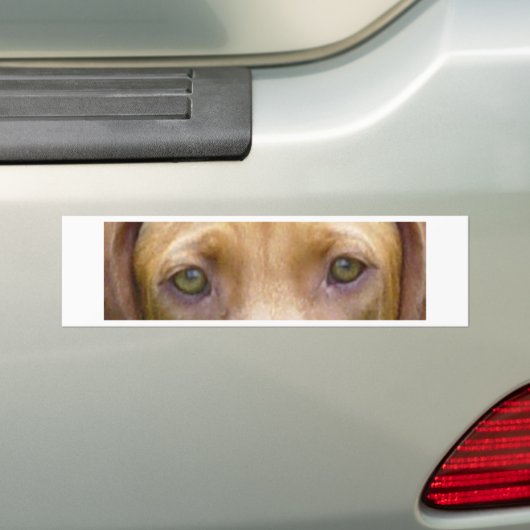 vizsla eyes.png autoaufkleber (Auf Auto)