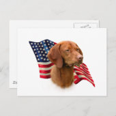Vizsla Flag Postkarte (Vorne/Hinten)
