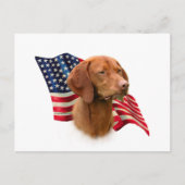 Vizsla Flag Postkarte (Vorderseite)