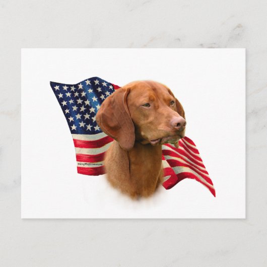 Vizsla Flag Postkarte (Vorderseite)