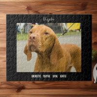 Vizsla Foto Dog Breed Jigsaw Puzzle