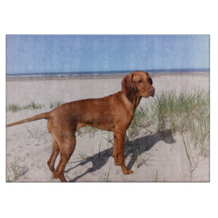 vizsla-full schneidebrett
