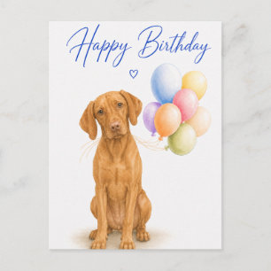 Vizsla Geburtstag Postkarte